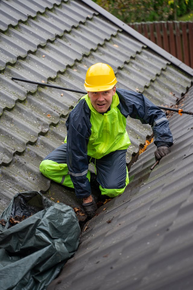Professional Gutter Cleaning